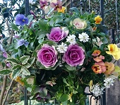 【渡良瀬グリーンプラザ】冬のハンギングバスケットの画像