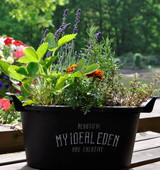 【渡良瀬グリーンプラザ】ハーブの寄せ植えの画像