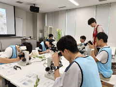 2/22（日）13:30～15:00【科学オリンピックワークショップ：生物】トウモロコシから見えてくる生物学オリンピックの世界の画像