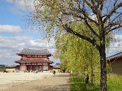 【動画配信】『万葉集』を読む～万葉植物とめぐる四季の画像