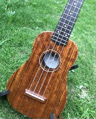 ■ウクレレを弾いて歌おう♪の画像