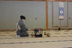 K17 お茶でほっこりの画像
