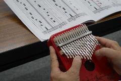 N12 夏休み！小学生カリンバ体験８月教室の画像
