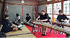 G08 はじめてのお箏教室の画像