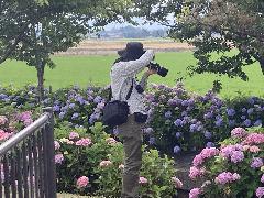 T09 写真ステップアップの画像